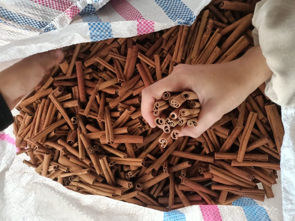 the warehouse of cinnamon